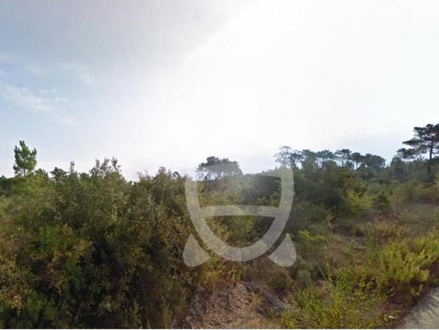 Terreno venda em Coimbrã, Cernache