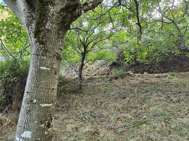 Terreno venda em Baião, Porto