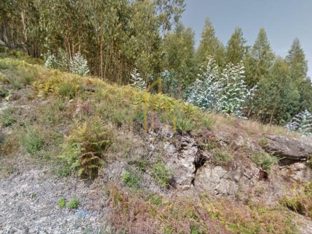 Terreno venda em Oliveira (Santa Maria), Gavião