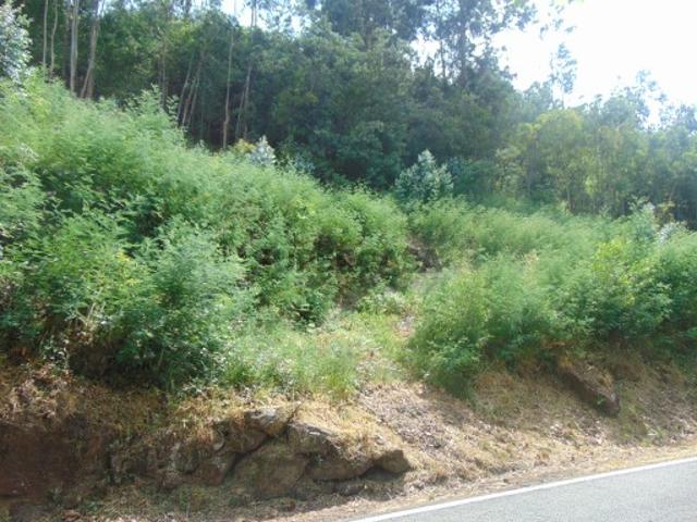 Terreno venda em Castelo De Paiva, Aveiro