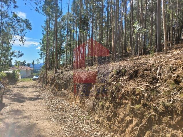 Terreno venda em Marrancos