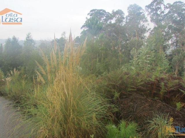 Terreno venda em Vila Nova De Gaia, Porto