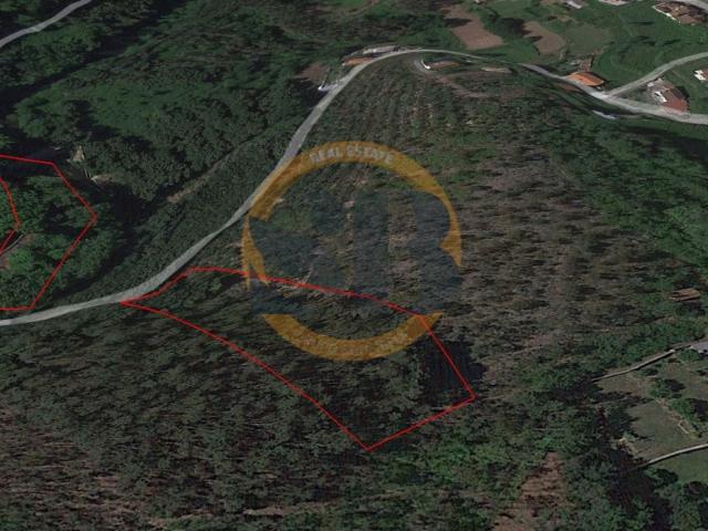 Terreno venda em Valmadeiros, Oliveira De Azeméis