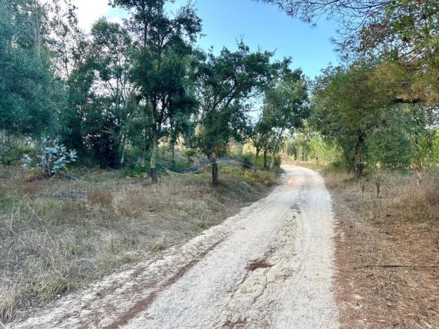 Terreno venda em Caravela, Leiria