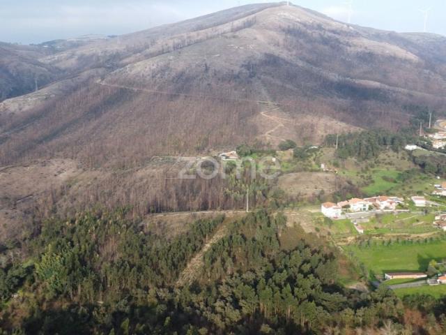 Terreno venda em Marecos, Porto