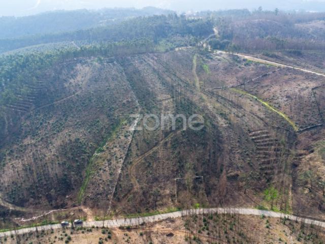 Terreno venda em Marecos, Porto
