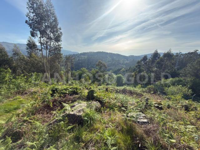 Terreno venda em Vieira do Minho