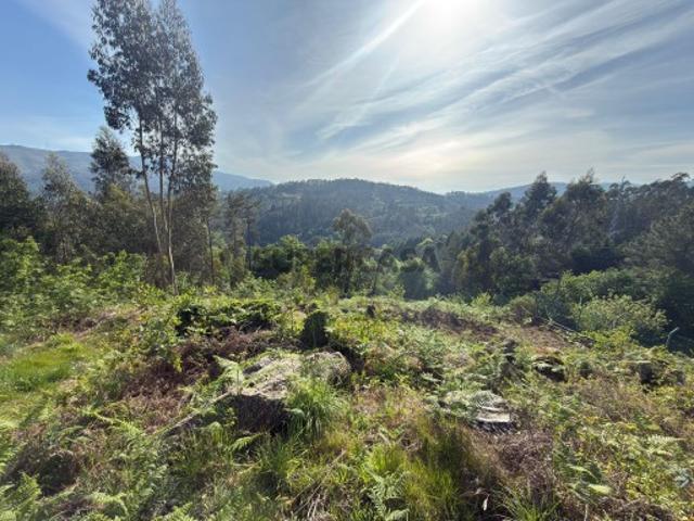 Terreno venda em Vieira do Minho