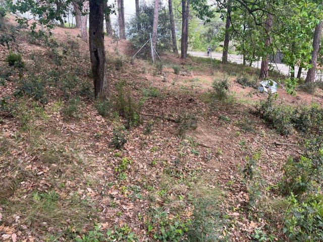 Terreno en venta en la Selva, Catalunya