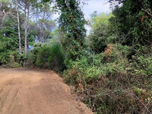 Terreno en venta en Baix Empordà, Catalunya