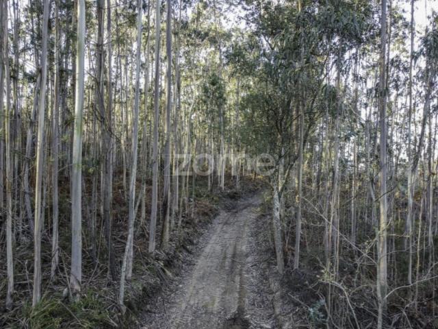 Terreno alugar em Maia, Quintã
