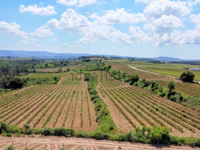 Terreno en venta en Guardiola de Font-rubí, Alt Penedès