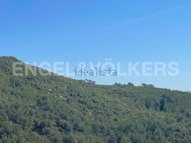 Terreno en venta en Alt Penedès, Catalunya
