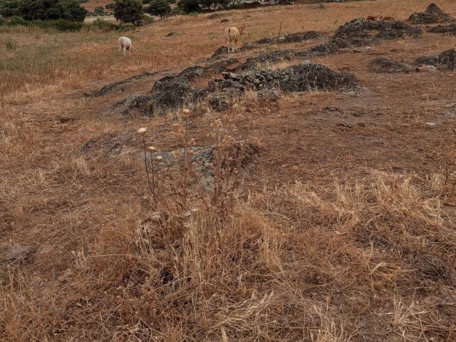 Terreno en venta en Fontanarejo, Castilla-La Mancha