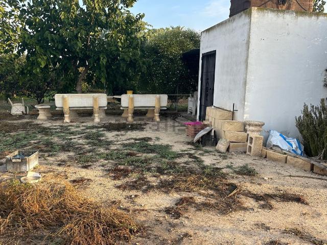 Terreno en alquiler en el Baix Segura / La Vega Baja, Valencia