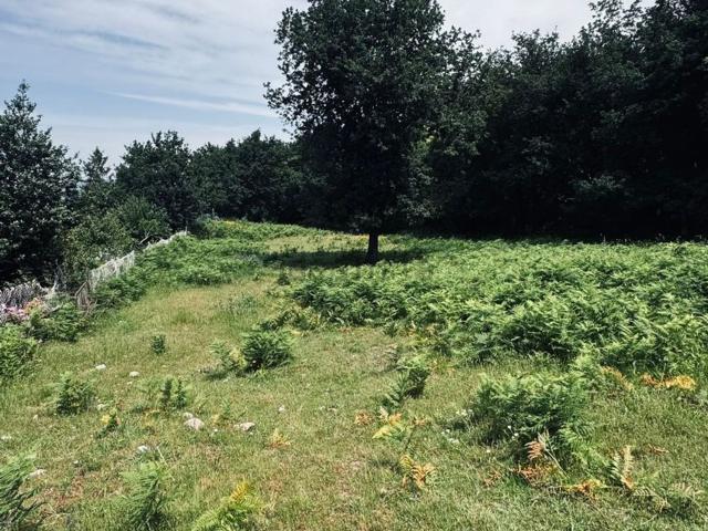 Terreno en venta en Fornelos de Montes, Vigo