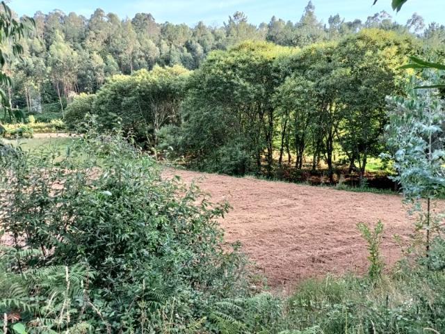 Terreno venda em Ponte De Lima Terreno venda em Ponte De Lima