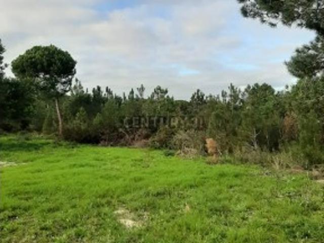 Terreno venda em Sesimbra (Castelo), Sesimbra