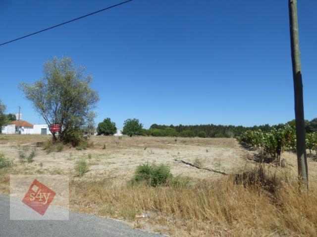 Terreno venda em Colonato de Santo Isidro de Pegões, Montijo
