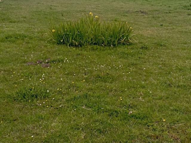 Terreno en venta en San Martiño de Mondoñedo, Foz