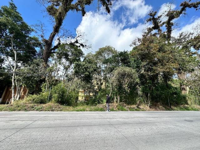Terreno en renta en Coatepec, Veracruz