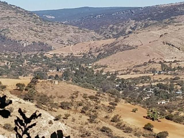 Terreno en venta en San Felipe, Guanajuato