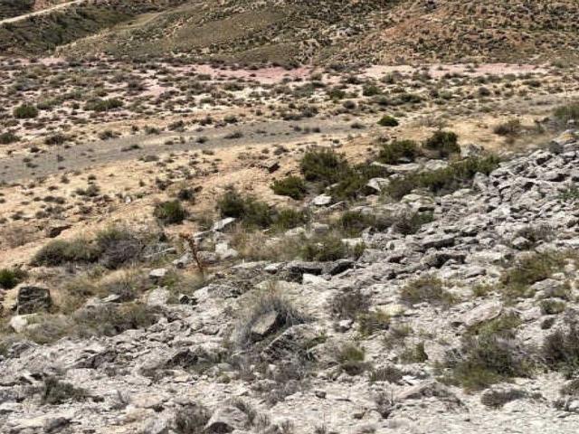 Terreno en venta en Fraga, Huesca