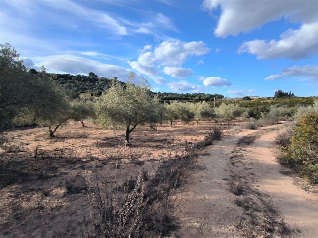 Terreno en venta en Montsià, Catalunya