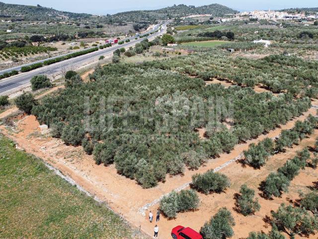 Terreno en venta en Montsià, Catalunya
