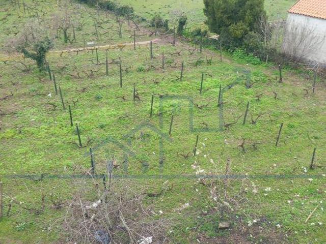 Terreno venda em Freixo Espada À Cinta, Bragança
