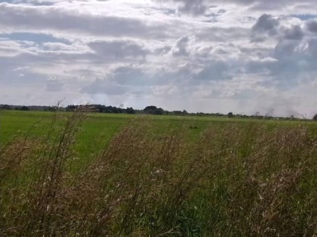 Terreno en venta en Maturin, Monagas