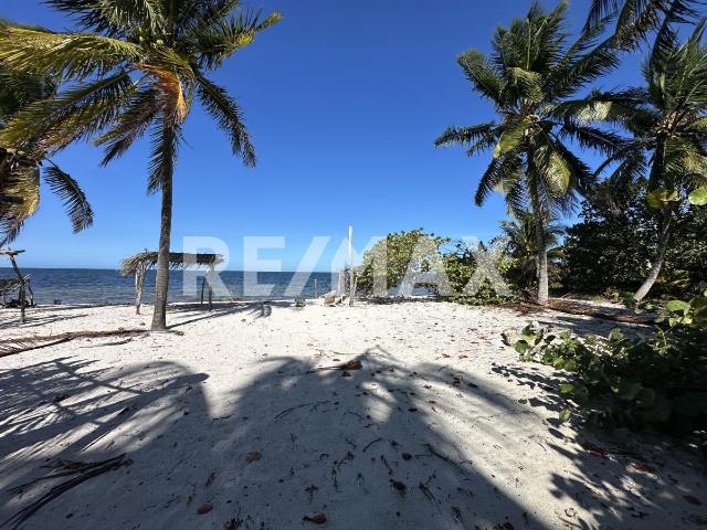 Terreno en venta en San Crisanto, Sinanché