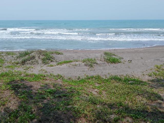 Terreno en venta en Vega De Alatorre, Veracruz