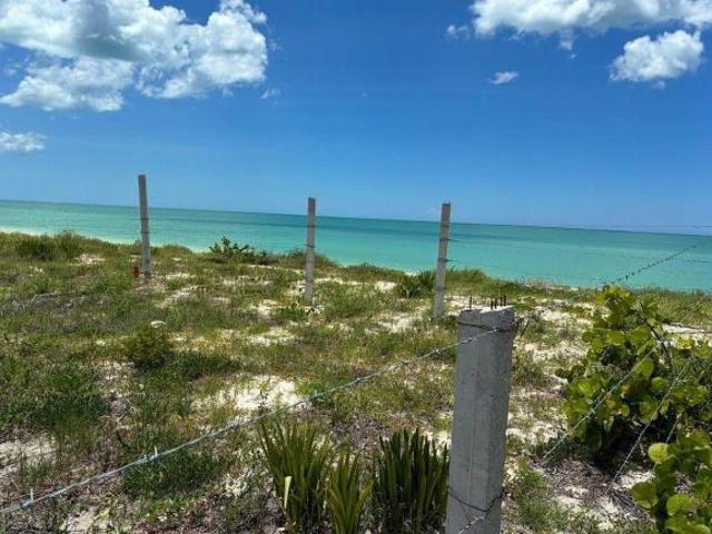 Terreno en venta en Celestún, Yucatán