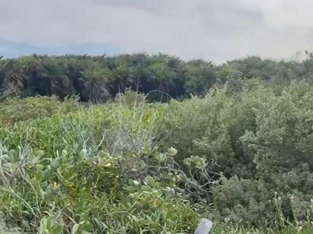 Terreno en venta en Tizimín, Yucatán