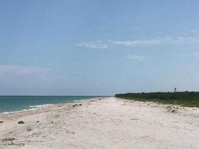 Terreno en venta en Celestún