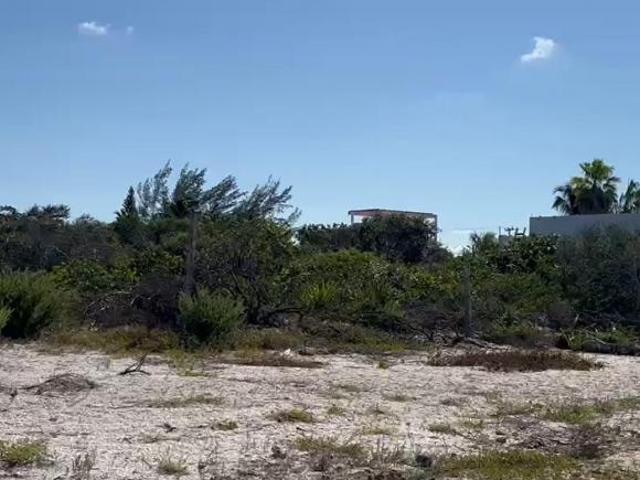 Terreno en venta en Celestún, Yucatán