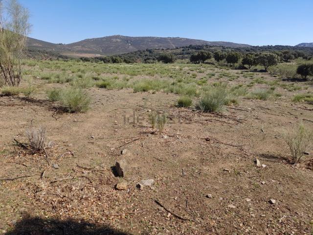 Terreno en venta en Fresnedoso De Ibor, Extremadura