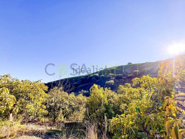Terreno en venta en La Axarquía, Andalucía