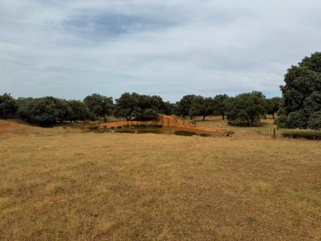 Terreno en venta en Fuencaliente, Castilla-La Mancha