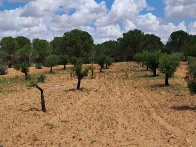 Terreno en venta en Fuensanta, Castilla-La Mancha