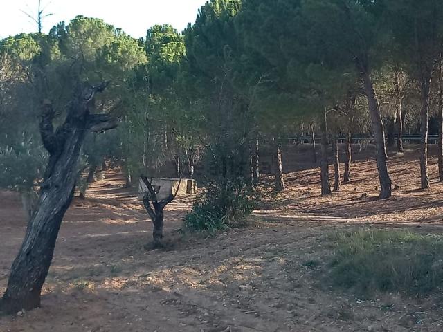 Terreno en venta en Fuensanta, Castilla-La Mancha