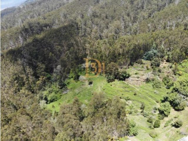Terreno venda em Imaculado Coração de Maria, Funchal