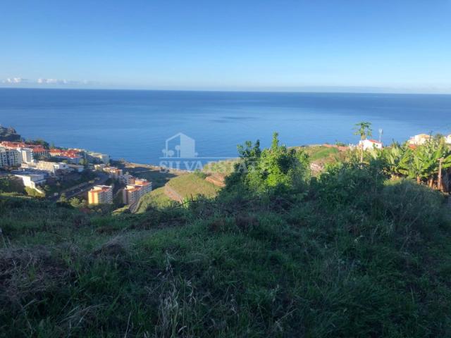 Terreno venda em Papagaio Verde, Funchal