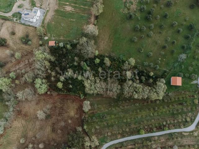 Terreno venda em Castelo Branco, Aldeia Nova Do Cabo