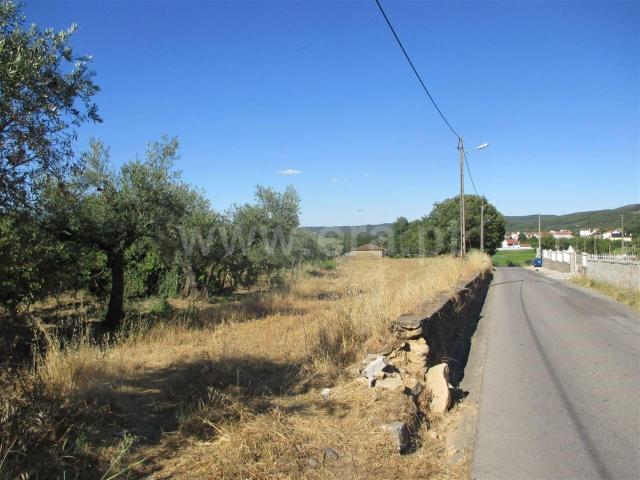 Terreno venda em Castelo Branco, Aldeia Nova Do Cabo