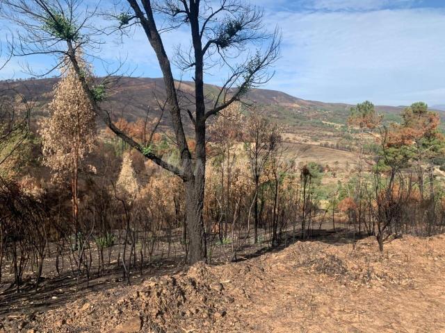 Terreno venda em Castelo Branco, Aldeia Nova Do Cabo