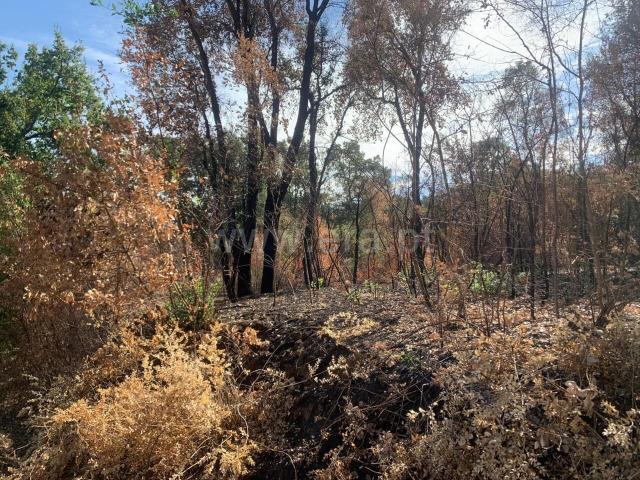 Terreno venda em Castelo Branco, Aldeia Nova Do Cabo