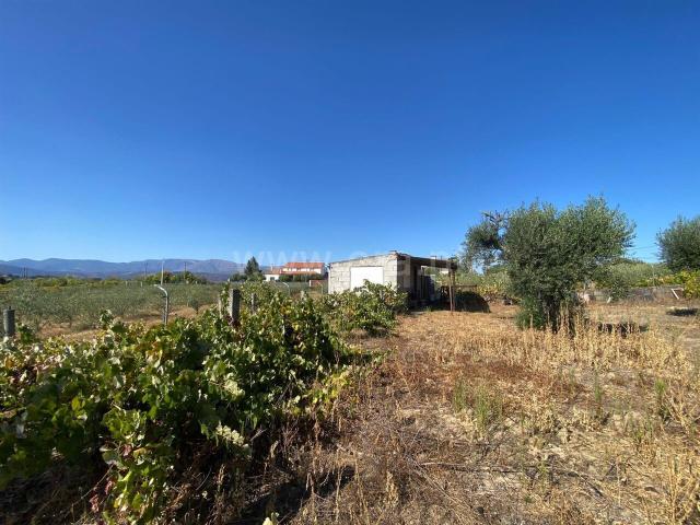 Terreno venda em Castelo Branco, Aldeia Nova Do Cabo