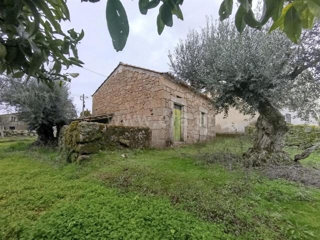 Terreno venda em Castelo Branco, Aldeia Nova Do Cabo